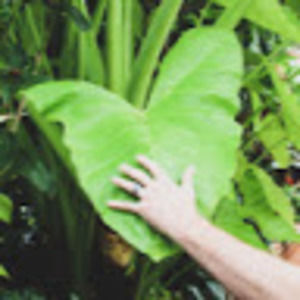 Meet your Posher, Kr